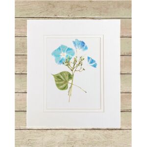 Matted Print Small Thumbnail