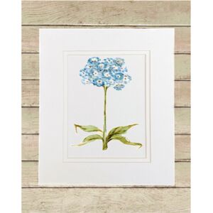 Matted Print Small Thumbnail
