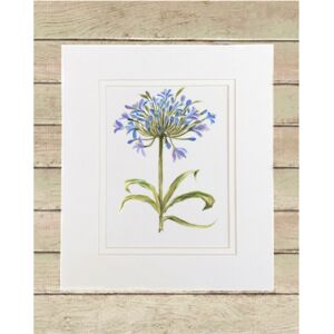 Matted Print Small Thumbnail