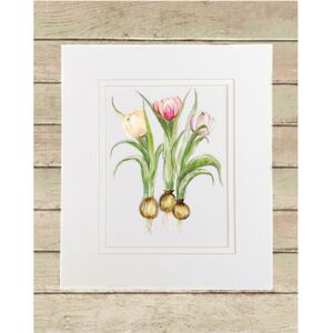 Matted Print Small Thumbnail