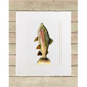 Matted Print Small Thumbnail