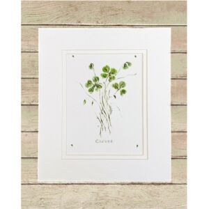 Matted Print Small Thumbnail