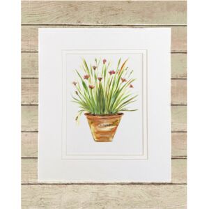 Matted Print Small Thumbnail