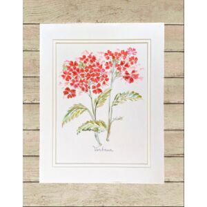 Matted Print Large Thumbnail