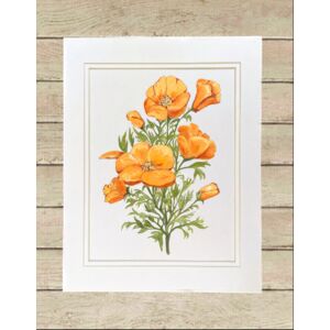 Matted Print Large Thumbnail