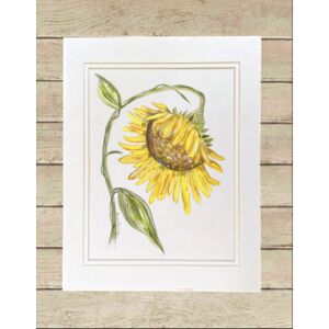 Matted Print Large Thumbnail
