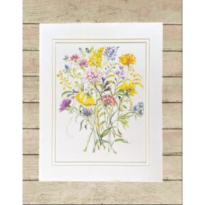Matted Print Large Thumbnail