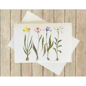 Greeting Card Thumbnail