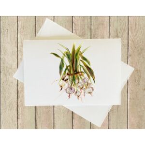 Greeting Card Thumbnail