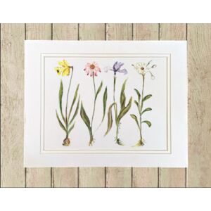 Matted Print Large Thumbnail